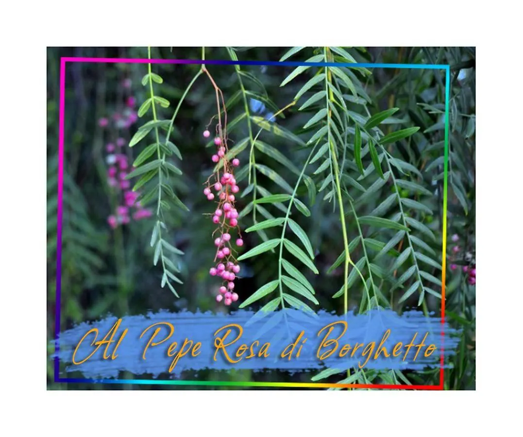 Appartamento Al Pepe Rosa di Borghetto Borghetto Santo Spirito
