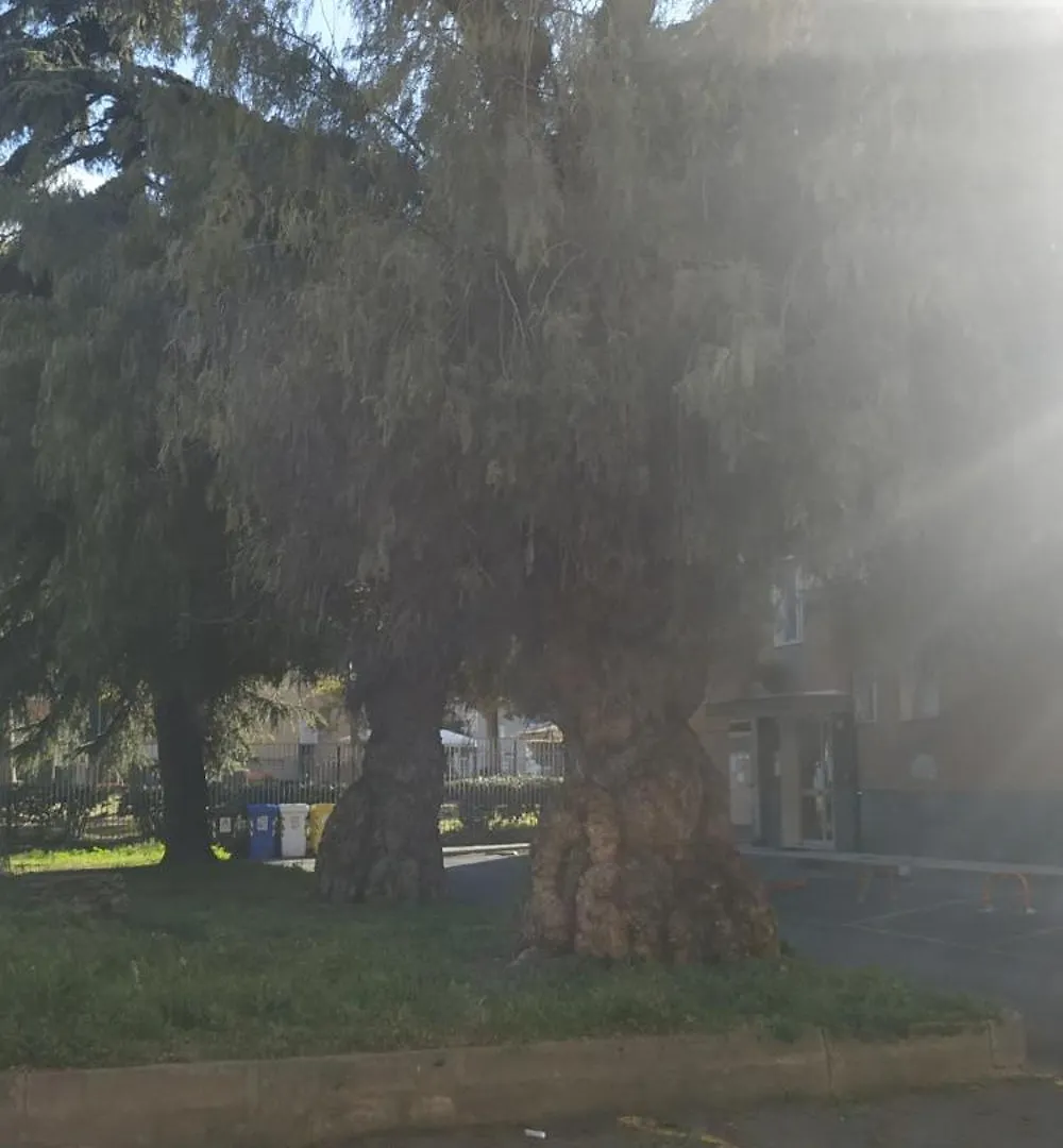 Appartamento Al Pepe Rosa di Borghetto Borghetto Santo Spirito Italia